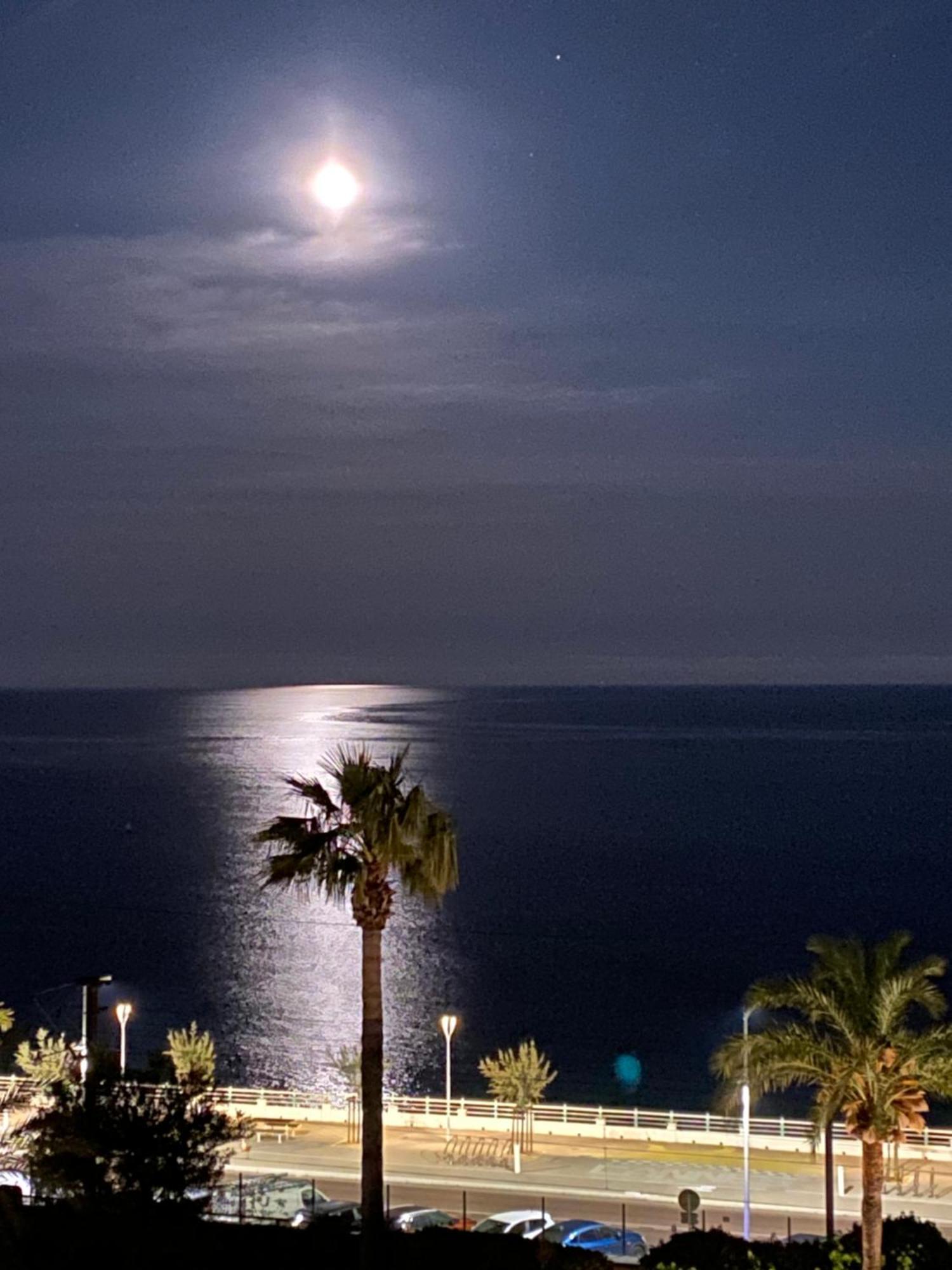 Bord De Mer, Terrasse, Tout A Pieds Cannes Exterior photo